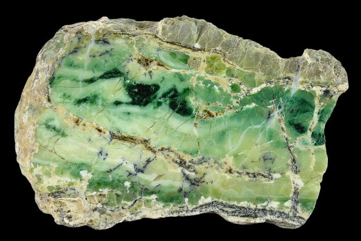 Polished Green-White Opal Slab - Western Australia #132926